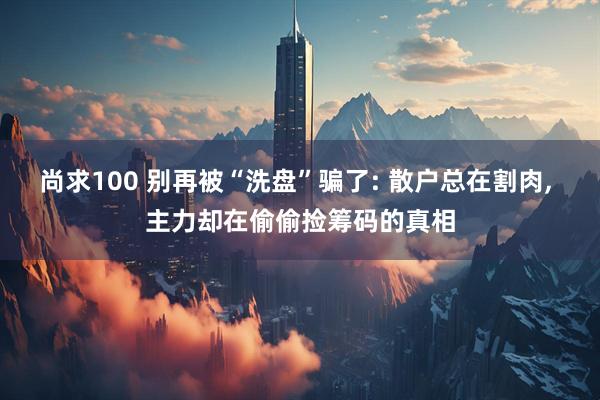 尚求100 别再被“洗盘”骗了: 散户总在割肉, 主力却在偷偷捡筹码的真相