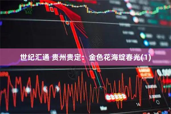 世纪汇通 贵州贵定：金色花海绽春光(1)
