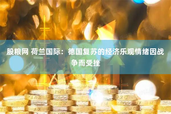 股粮网 荷兰国际：德国复苏的经济乐观情绪因战争而受挫