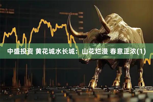 中盛投资 黄花城水长城：山花烂漫 春意正浓(1)