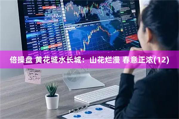 倍操盘 黄花城水长城：山花烂漫 春意正浓(12)