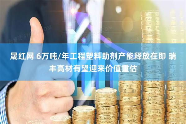 晟红网 6万吨/年工程塑料助剂产能释放在即 瑞丰高材有望迎来价值重估