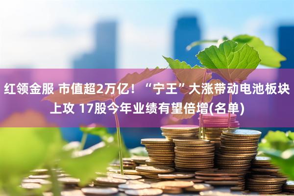 红领金服 市值超2万亿！“宁王”大涨带动电池板块上攻 17股今年业绩有望倍增(名单)