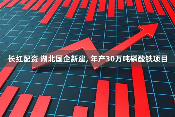 长红配资 湖北国企新建, 年产30万吨磷酸铁项目