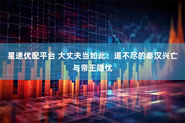 星速优配平台 大丈夫当如此：道不尽的秦汉兴亡与帝王隐忧