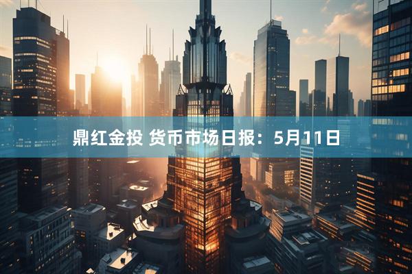 鼎红金投 货币市场日报:5月11日