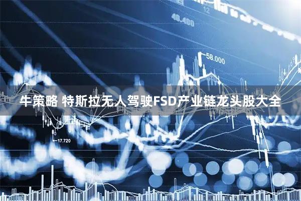 牛策略 特斯拉无人驾驶FSD产业链龙头股大全