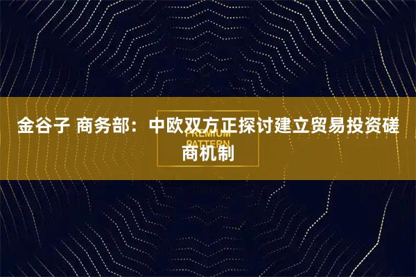 金谷子 商务部：中欧双方正探讨建立贸易投资磋商机制
