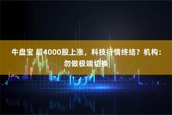 牛盘宝 超4000股上涨，科技行情终结？机构：勿做极端切换