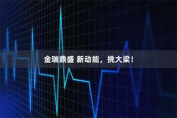金瑞鼎盛 新动能，挑大梁！