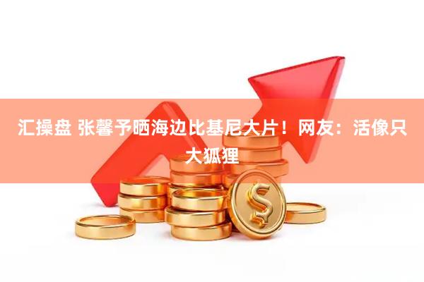 汇操盘 张馨予晒海边比基尼大片!网友:活像只大狐狸