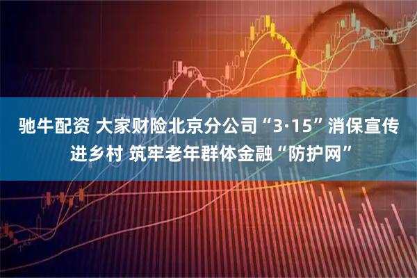 驰牛配资 大家财险北京分公司“3·15”消保宣传 进乡村 筑牢老年群体金融“防护网”