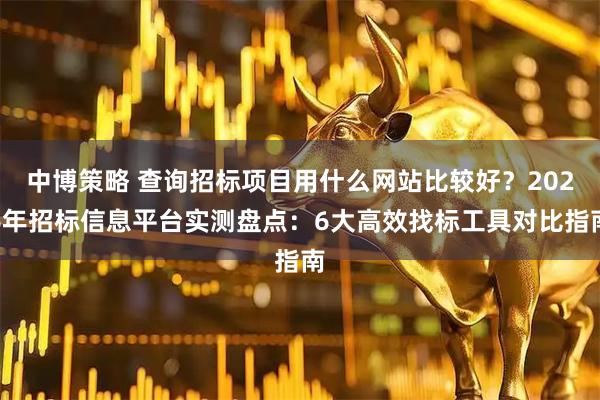 中博策略 查询招标项目用什么网站比较好？2026年招标信息平台实测盘点：6大高效找标工具对比指南