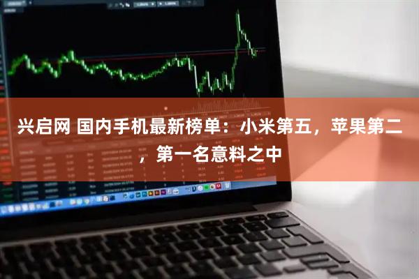 兴启网 国内手机最新榜单:小米第五,苹果第二,第一名意料之中