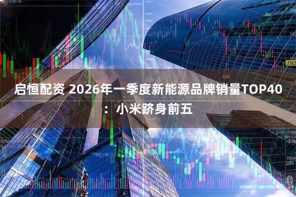 启恒配资 2026年一季度新能源品牌销量TOP40：小米跻身前五