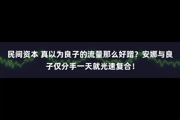 民间资本 真以为良子的流量那么好蹭？安娜与良子仅分手一天就光速复合！