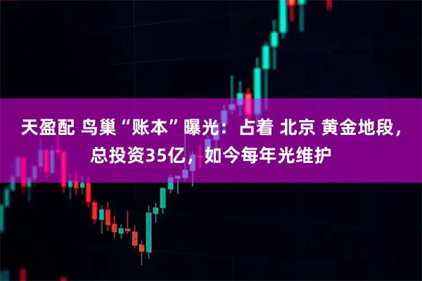 天盈配 鸟巢“账本”曝光：占着 北京 黄金地段，总投资35亿，如今每年光维护