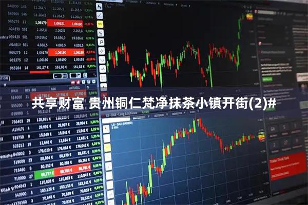 共享财富 贵州铜仁梵净抹茶小镇开街(2)#