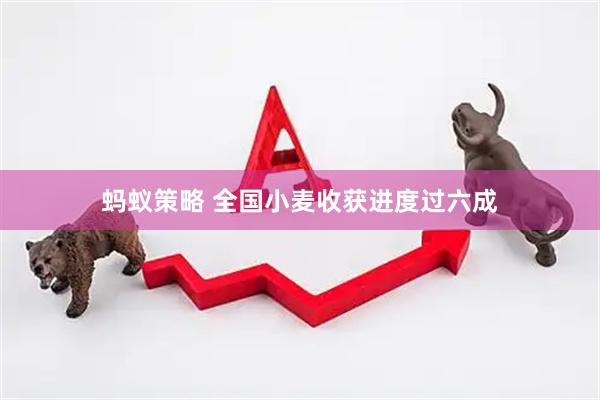 蚂蚁策略 全国小麦收获进度过六成