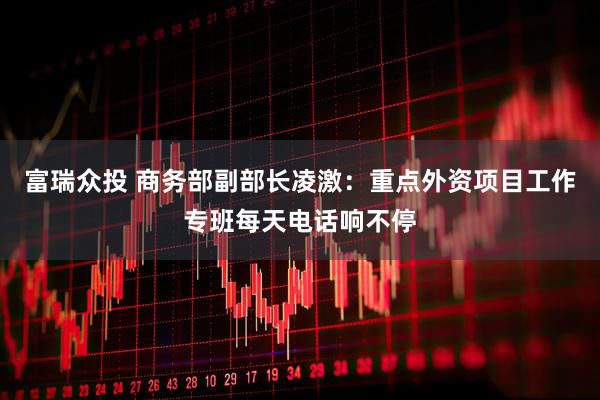 富瑞众投 商务部副部长凌激：重点外资项目工作专班每天电话响不停