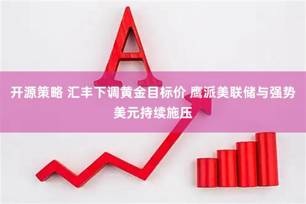 开源策略 汇丰下调黄金目标价 鹰派美联储与强势美元持续施压