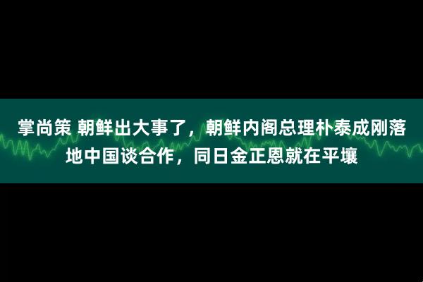 掌尚策 朝鲜出大事了,朝鲜内阁总理朴泰成刚落地中国谈合作,同日金正恩就在平壤