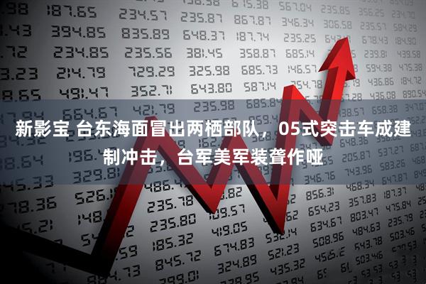 新影宝 台东海面冒出两栖部队，05式突击车成建制冲击，台军美军装聋作哑